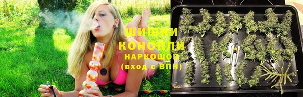 гидропоника Аркадак