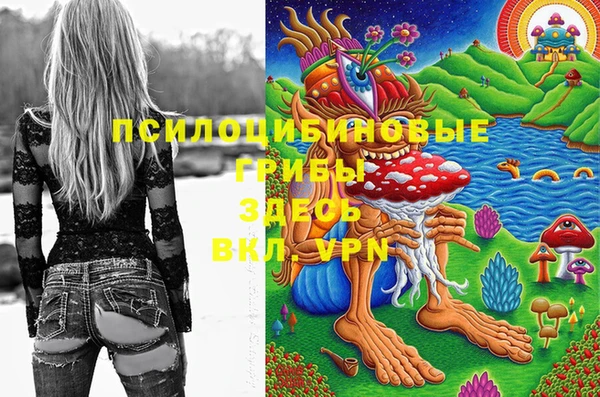 гидропоника Аркадак